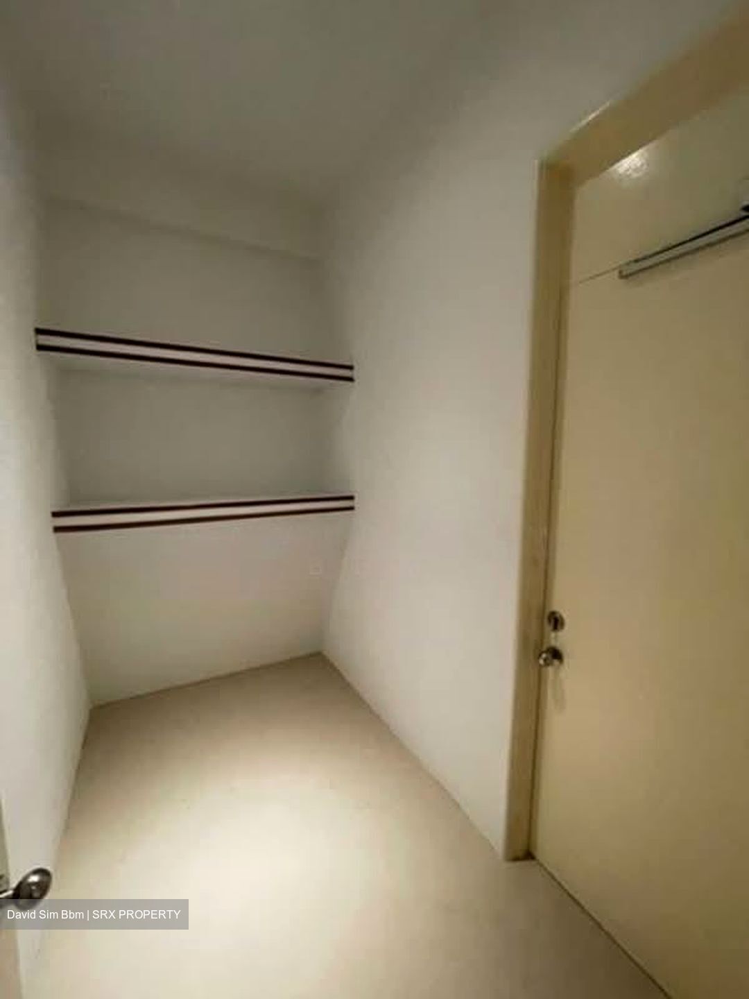 The Colonnade (D10), Condominium #540366411